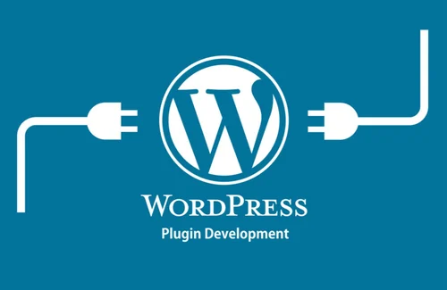 WP Plugin Development Services